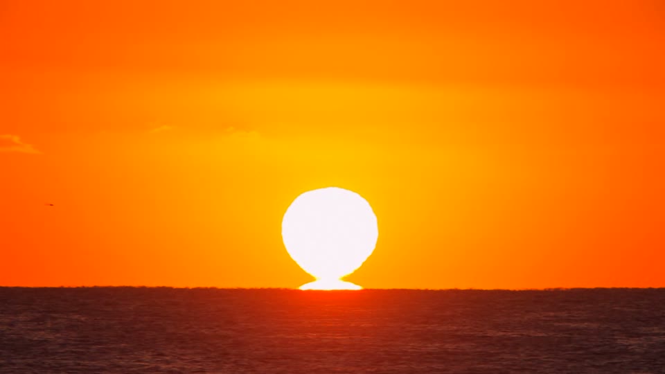 Татьяна Рябкова