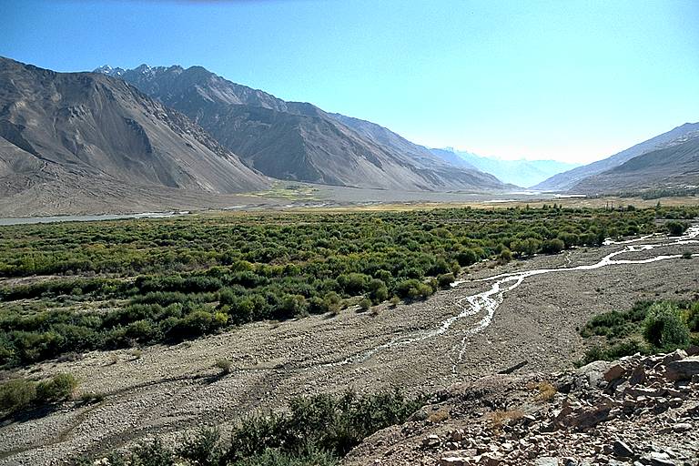 Павел Шудский