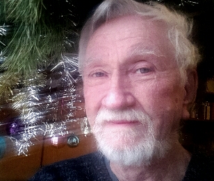 Владимир Фирсович Шишигин