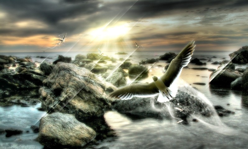 Роман Боярский