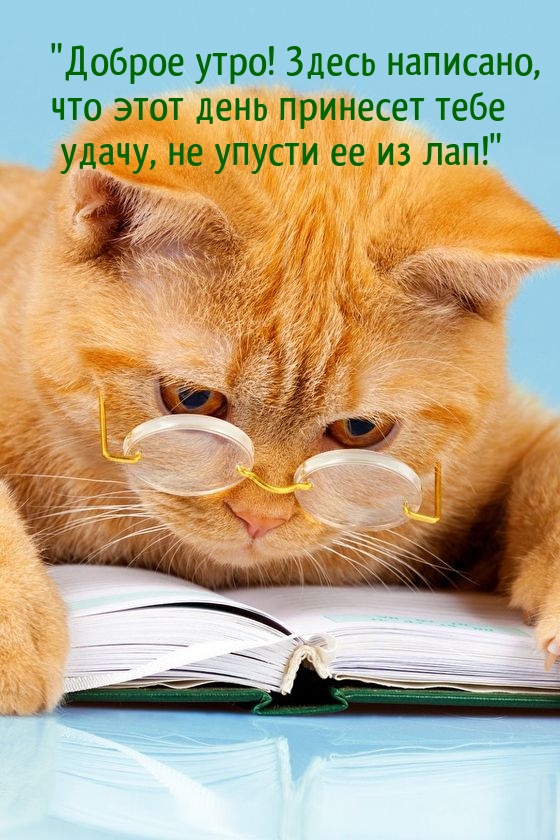 Светлана Корнюхина
