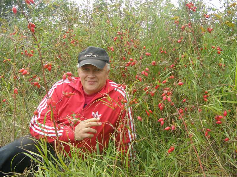Валерий Даркаев