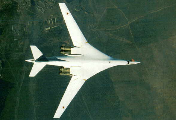 Виолетта Викторовна Баша