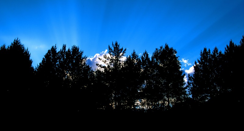 Алексей Пак