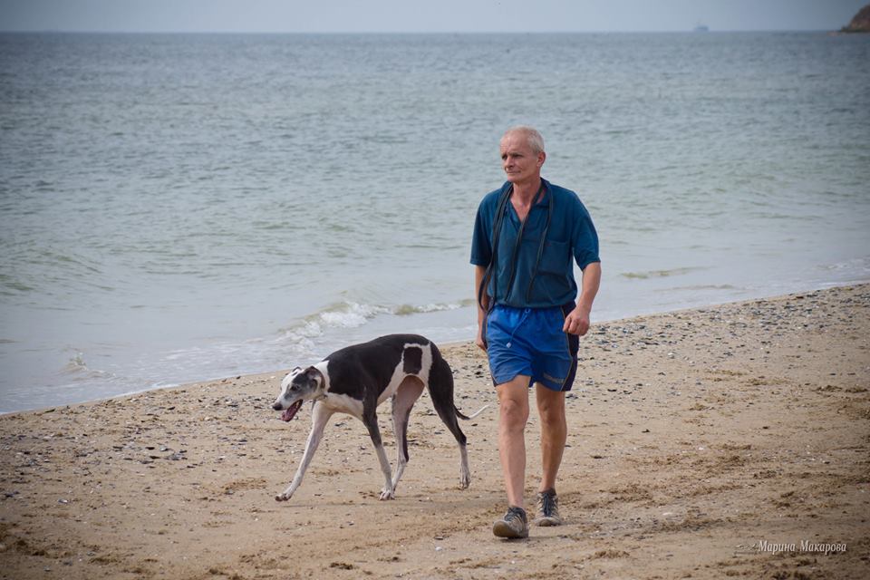 Александр Чигаев