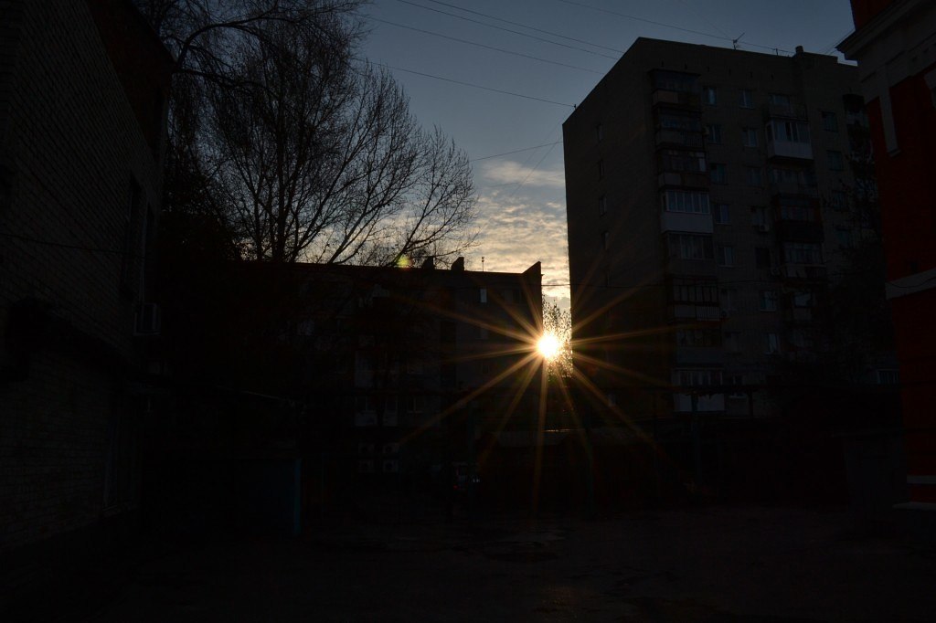 Алексей Досков