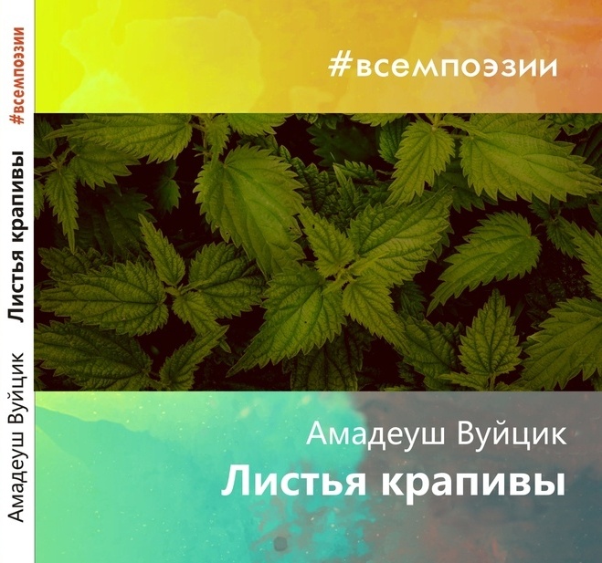 Амадеуш Вуйцик