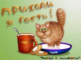 Наталья Шамина