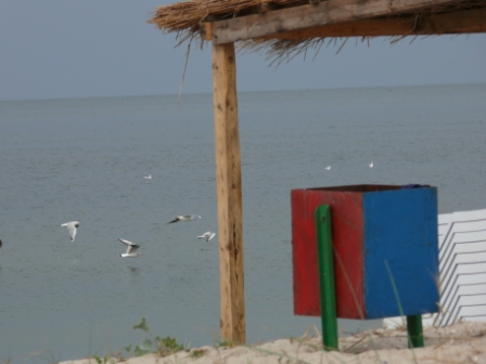 Андрей Закревский