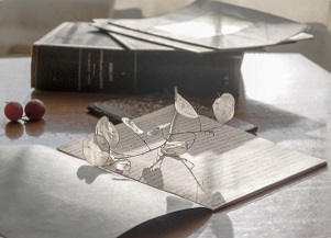 Екатерина Усович