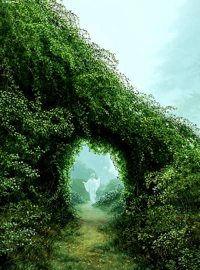 Антония