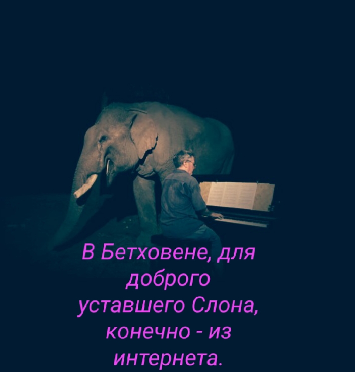 Парагогенгейм