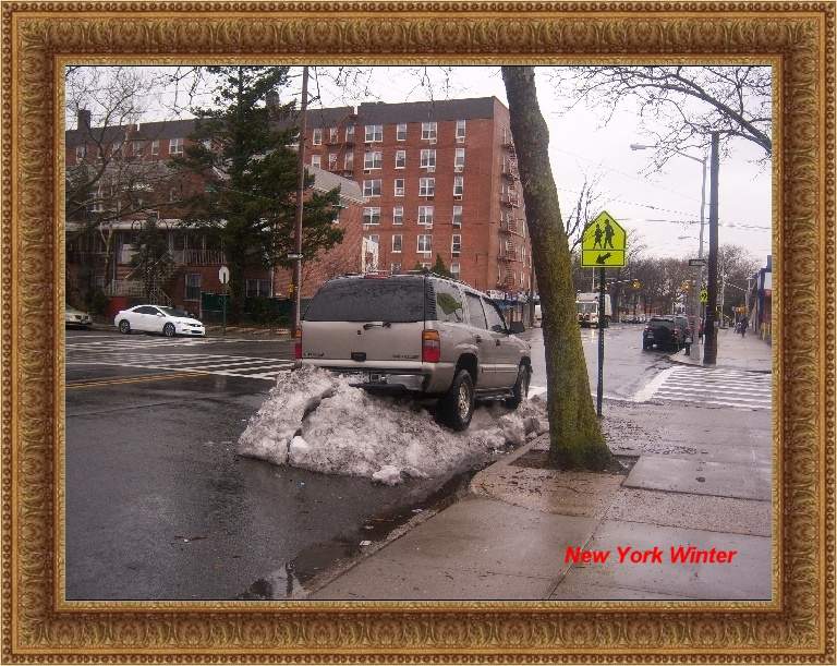 Алекс Белостоцкий