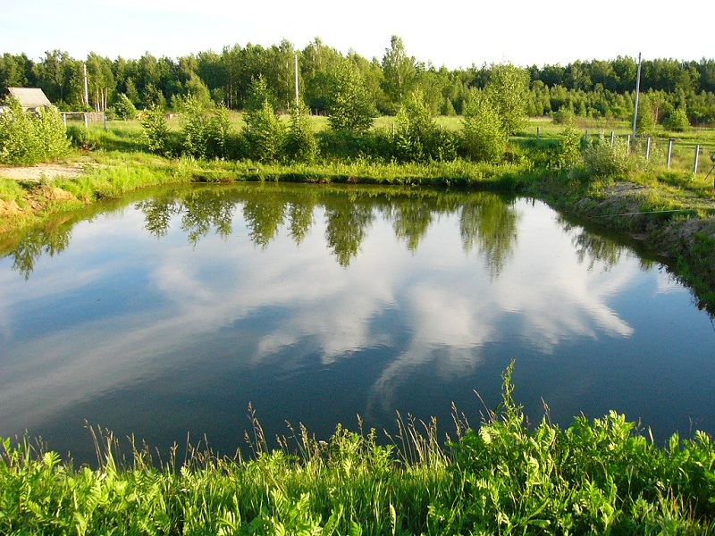 Анзор Васильев
