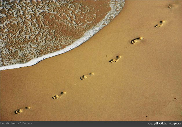 Жанна Балон