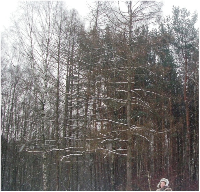 Мара Рушева