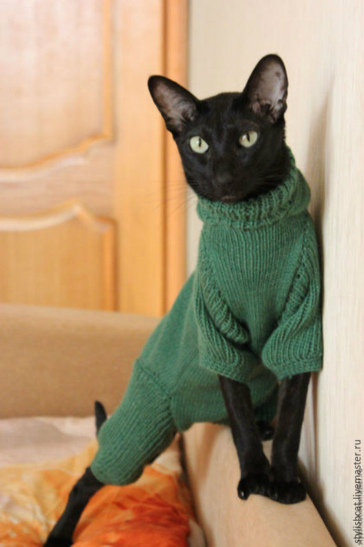 Ася Брянская