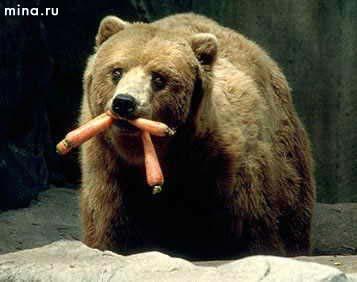 Большой Грызь