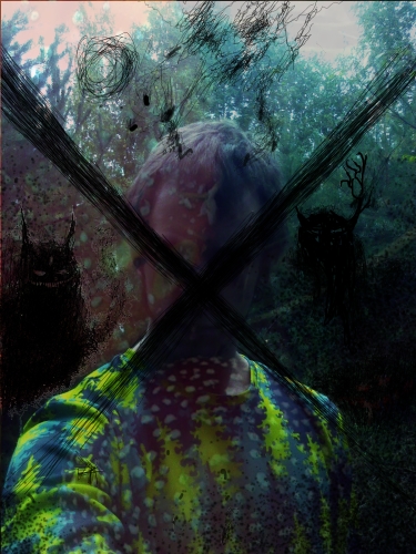 Ганз Драген