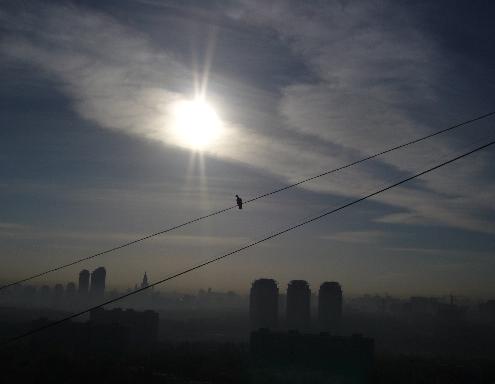 Серпента Олекто