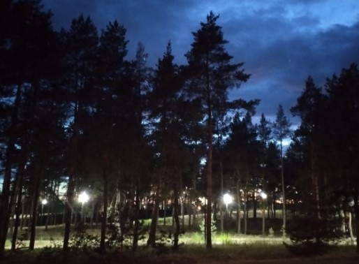Варлаам Бузыкин