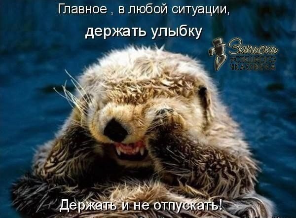 Ирландия