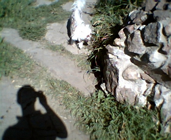 Зырянов