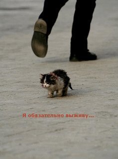 Леокадия Веркау