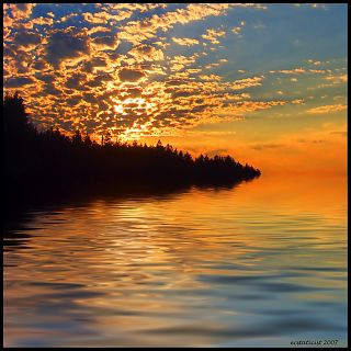 Михаил Данилов 2