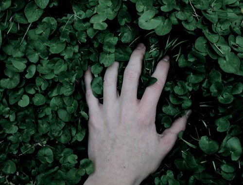 Даня Морган