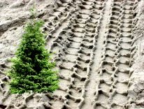 Андрэ Девиа