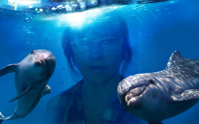 Елена Картунова