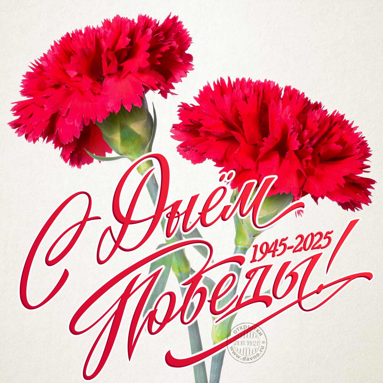 Елена Котова 1