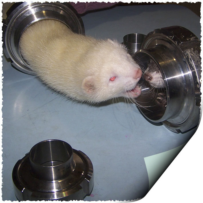 Эндер Альбов