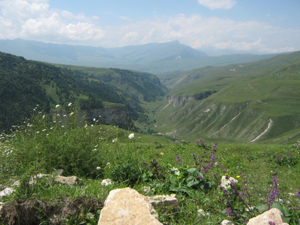 Сайд -Хамзат Нунуев