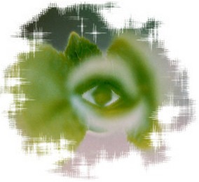 Василий Рязанов