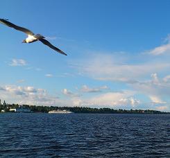 Евгений Дымов