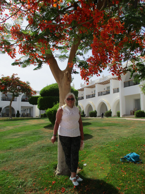 Филун Джарин