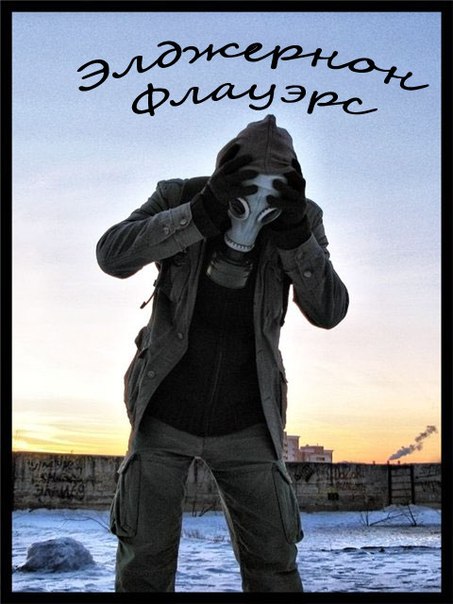 Элджернон Флауэрс