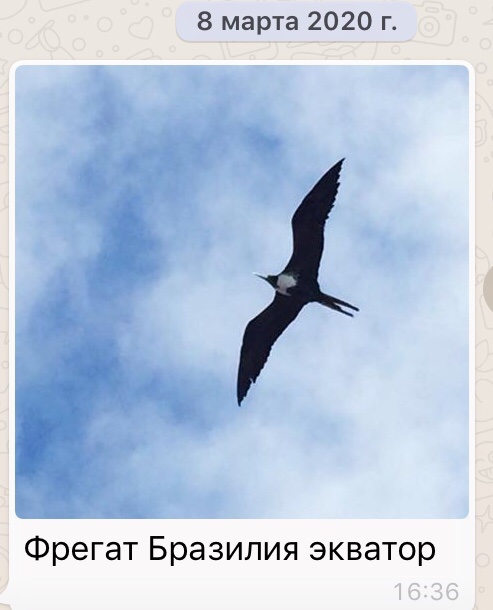 Фрегатт