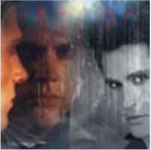 Лиза Котова