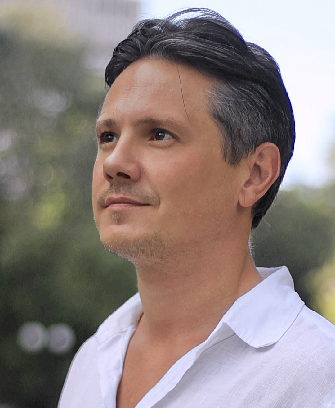 Иван Чаплыгин