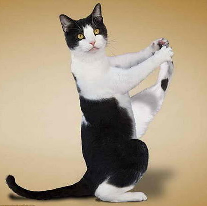 Константин Гофман