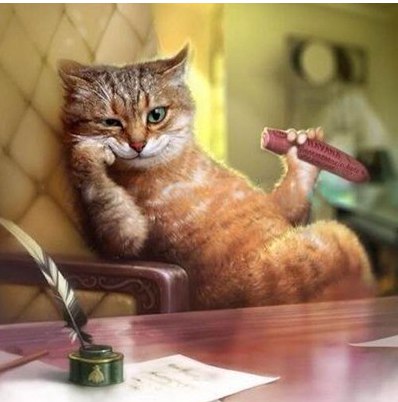 Дон Хи Кот