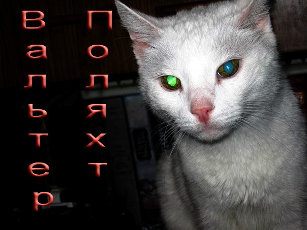 Вальтер Поляхт