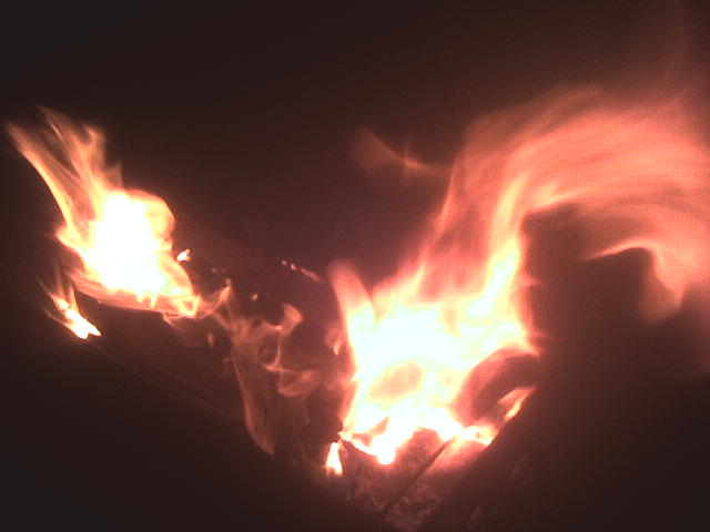 Андрей Синельников