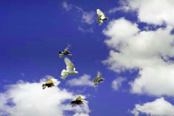 Михаил Ханджей