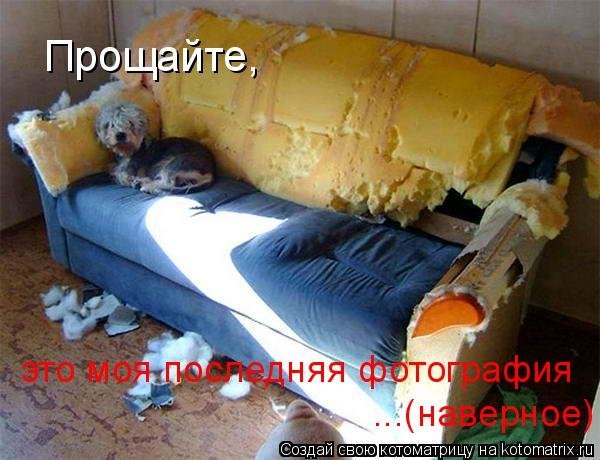 Сергей Фомин 2