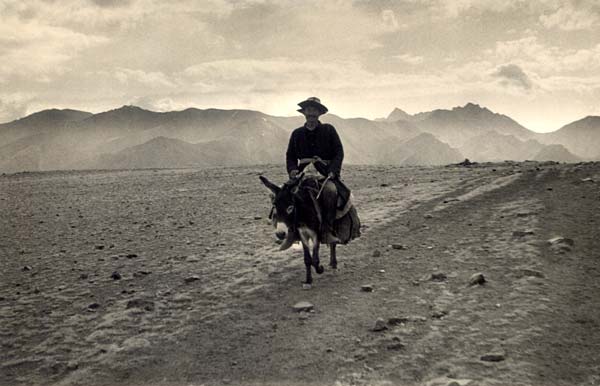 Крыленко Владимир