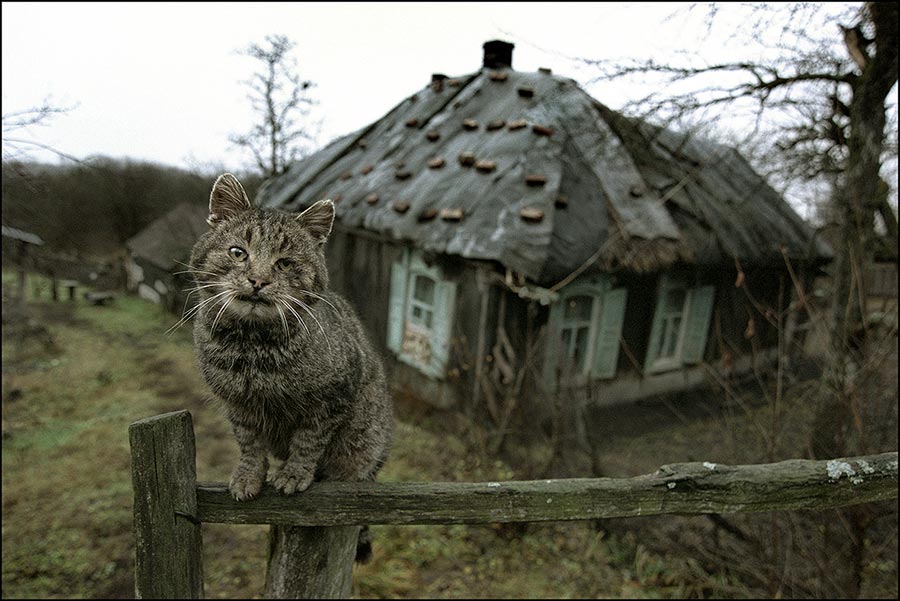 Иван Некрасов